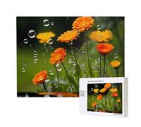 Phayah Puzzle chrysanthèmes sauvages pour adultes de 500 pièces. Décoration d'intérieur, fête d'anniversaire pour hommes et femmes, 50,4 x 38,1 cm