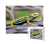 Phayah Puzzle en bois 500 pièces pour adultes et enfants - Décoration d'intérieur - 52 x 38 cm - Motif lézard sauvage