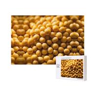 Phayah Puzzles de haricots de soja de 300 pièces pour puzzle, puzzle en bois pour famille, ami, décoration d'intérieur, art mural, 39,7 x 27,9 cm