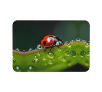 PHAYAH Seven-Starred Coccinelle Tapis de salle de bain en caoutchouc antidérapant absorbant résistant paillasson porte intérieur tapis de sol 40 x 60 cm