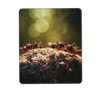 PHAYAH The Ant Gathering Tapis de souris portable sans fil avec base en caoutchouc antidérapant pour ordinateur portable Surface lisse pour bureau et voyage 25,4 x 30,5 cm