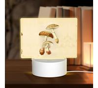 PHAYAH Veilleuse vintage en acrylique à motif champignons comestibles avec port USB, interrupteur tactile, cadeau d'anniversaire, de Thanksgiving pour la famille et les amis