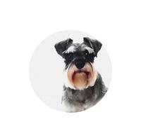 Phayah Well-Behaved Schnauzer Lot de 4 désodorisants ronds pour voiture, placard, tiroir