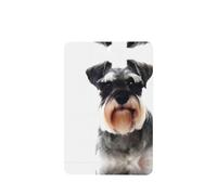 Phayah Well-Behaved Schnauzer Lot de 6 désodorisants rectangulaires à suspendre pour voiture, placard, tiroir