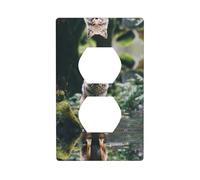 Phayah Wolf After Rain Pattern Decorative Outlet Covers Receptacle Duplex Light Switch Plate Single Dual Plug Covers