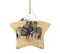 Phayah Zèbres sur l'Afrique du Sud Motif Étoile en Céramique Arbre de Noël Ornement Nouvel An Maison Souvenirs pour Rassemblements Décoration à Suspendre