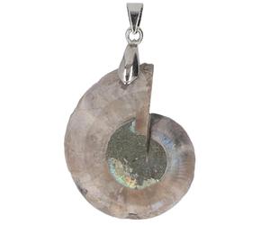 Phefop Pendentif en Coquillage d'Ammonite, Colliers Pendentif Poli Vintage Naturel Ammonite Fossile Bijoux côté percé Pierre Précieuse Perle Cadeau élégant pour les Amoureux de l'océan, les