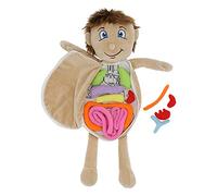 Phefop Poupée de Jouets D'anatomie des Organes Humains pour L'apprentissage de L'aide en Classe 18.1 en Fibre de Polyester (Garçons d'organes Humains)