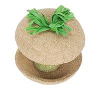 Phefop Timothy Grass Hamster Chew Bowl Herbe Corde Jouet de Recherche de Nourriture 3,1 Pouces Jouet d'alimentation et Molaire pour Hamsters Nains, Ours Dorés et Petits Rongeurs