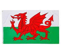 PHENO FLAGS Drapeau Pays de Galles 90x150cm - gallois - résistant aux intempéries, avec œillets en laiton, 100% polyester, coutures doubles robustes et couleurs éclatantes