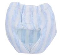 PHENOFICE Couches Réutilisables pour Écureuils : Couches pour Petits Animaux de Compagnie, Planeurs de Sucre - Lavables pour Chiots, Petits Et Moyens Écureuils, Cochons d'Inde Et Marmottes - Bleues