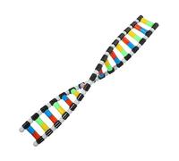 PHENOFICE Modèle Adn Double Hélice Kit De Modélisation pour Enseignement Présentation Adn Jouet Éducatif pour Salles De Classe Et Projets Biologiques