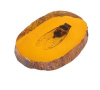 PHENOFICE Pendentif en Ambre Artificiel Insecte Inclus, Ornement Unique en Ambroid Jaune, Décoration Élégante pour Présent à Amis et Famille