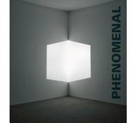 Phenomenal: California Light, Space, Surface