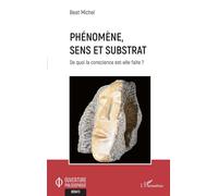Phénomène, sens et substrat De quoi la conscience est-elle faite ? - Beat Michel - L'harmattan - broché - Essai