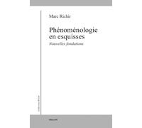 Phénoménologie en esquisses