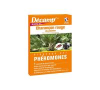 Phéromone contre le charançon rouge du palmier (1 capsule)