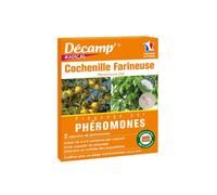 Phéromone contre les cochenilles farineuses