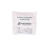 Pheromone pyrale du buis - Traitement pyrale du buis Longue durée 10 semaines - Anti Chenille pyrale du buis - S’utilise avec Un piège à phéromone.