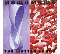 Phil Manzanera - Wasted Lands