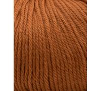 Phildar - Pelote de Laine Phil Caresse - Laine à Tricoter - 51% Acrylique,49% Polyamide - Aiguille n°4 - Couleur Noisette