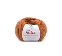 Phildar - Pelote de Laine Phil ECOLAINE - Laine à Tricoter - 100% Laine - Aiguille n°4 - Couleur Noisette