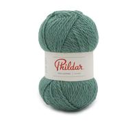Phildar - Pelote de Laine Phil LOOPING - Laine à Tricoter - 20% Laine,80% Acrylique - Aiguille n°6 - Couleur Veronese