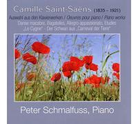 PHILH.SLAVONICA/PEROWSKY VIOLI - CAMILLE SAINT-SAENS OEUVRES P.