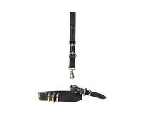 PHILIA Set Laisse et Collier Élégant pour Chien - Laisse 2 m + Collier Double Réglable de Chiot à Adulte en Cuir PU Premium - pour Chiens Petits et Moyens