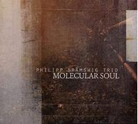 Philipp Brämswig Trio : Molecular Soul