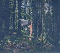 Philipp Poisel - Sportelli Fear and Courage CD