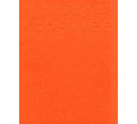 PHILIPPE COGNEE. MUSEE DES BEAUX ARTS D'ANGER