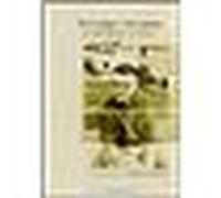 Philippe Minyana ou la Parole visible