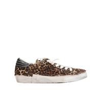 Philippe Model Baskets basses PRSX LOW WOMAN in Multicolore 38