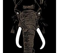 Philippe ‘pipon’ - Don't Buy Ivory Anymore