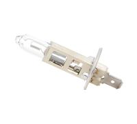 Ampoule halogène PHILIPS H1 LongLife EcoVision 12V, 55W, 1 pièce