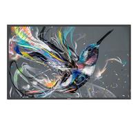 Philips 32BDL3511Q - 32" - Q-Line écran LCD rétro-éclairé par LED - signalisation numérique - 1080p 1920 x 1080