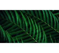 Philips 27B2G5601 - 5000 Series - écran LED - USB - 27" - 2560 x 1440 QHD @ 100 Hz - IPS - 1500:1 - HDMI, DisplayPort, USB-C - haut-parleurs - argent, Charbon Argent, Charbon