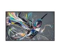 Philips 50BDL3550Q - Classe de diagonale 50" (49.5" visualisable) - Q-Line écran LCD rétro-éclairé par LED - signalisation numérique - 4K UHD (2160p) 3840 x 2160 - LED à éclairage direct G