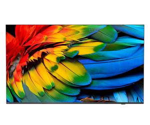 Philips 50HFL6214U 127 cm (50 ) 4K Ultra HD Smart TV Wifi Anthracite 400 cd/m² Écran enroulable