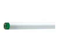 Philips 5184ECO Master Tl-D Eco 51W / 840