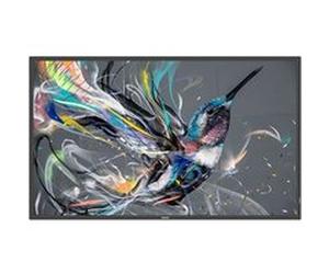 Philips 55BDL3650QE e diagonale 55" (54.6" visualisable) - Q-Line écran LCD rétro-éclairé par LED - signalisation numérique - Android - 4K UHD (2160p) 3840 x 2160 - Direct LED G