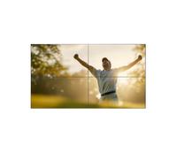 Philips 55BDL8107X/00 Mur d'écrans FHD de 55 pouces