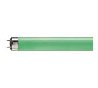 Philips Tube Fluorescent Maître Tl-D - T8, 170 Vert - 58W - Lampe Spéciale Tubes