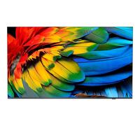 Philips 65HFL6214U - 65" Professional MediaSuite TV LCD rétro-éclairée par LED - soins de santé/hôtel - Smart TV - Android TV - 4K UHD (2160p) 3840 x 2160 - gris anthracite