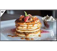 PHILIPS- Afficheur professionnel 43" 43BFL2214/12