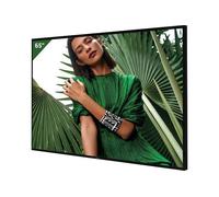 Philips Q-Line 65BDL3650QE Écran 4K EcoDesign 65'' Écran professionnel de 65 pouces avec résolution 4K UHD, Android 10 intégré et conception EcoDesign