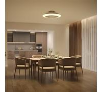 Philips Amigo Plafonnier avec ventilateur, LED, 8720169260627,