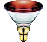 Philips Ampoule infrarouge E27 150 W 230 V Ø 121 x L 136 mm 1 pièce