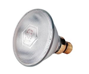 Philips Ampoule infrarouge économique 100 W ampoule blanche chauffante de PHILIPS